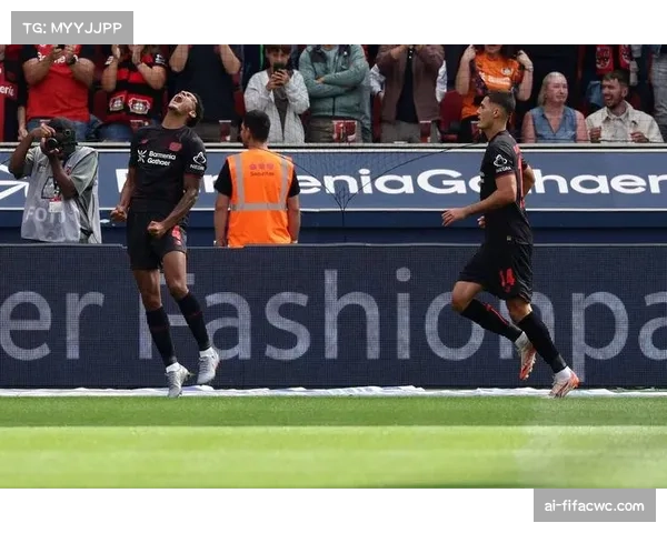 霍芬海姆后腰贝尔纳多抢断出色 防守型中场价值凸显 霍芬海姆后腰贝尔纳多抢断出色 防守型中场价值凸显